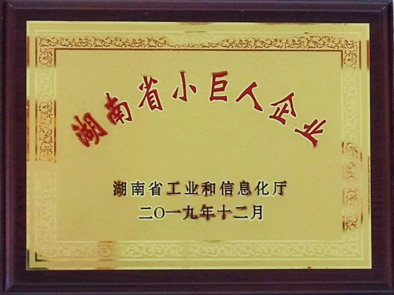 湖南省小巨人企业